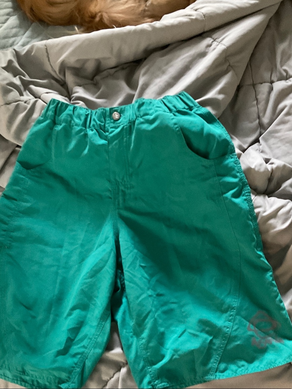 Asana Board Shorts, Teal Green